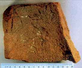 Figure 8.31 Spanish roof tile fragment. Fort Guijarros Museum Foundation Photo Collection, P:84-636.
