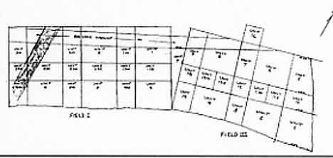 Figure 8.27 General unit configuration for Field I and Field III, excerpted from C. Fred Buchanan’s Key Map–Field I & III. The reason the two grids are not in alignment is that nearby Navy equipment interfered with magnetic readings during the first ten years of the investigations.